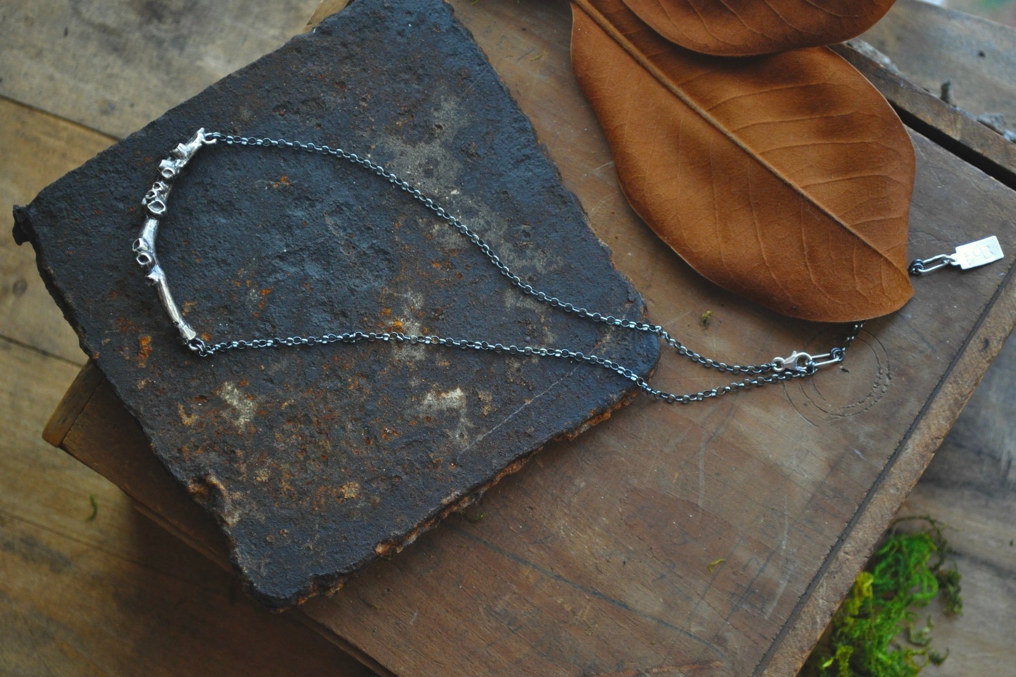 Barnacle | Origen Necklace | Ready to ship - cameraSHY cove