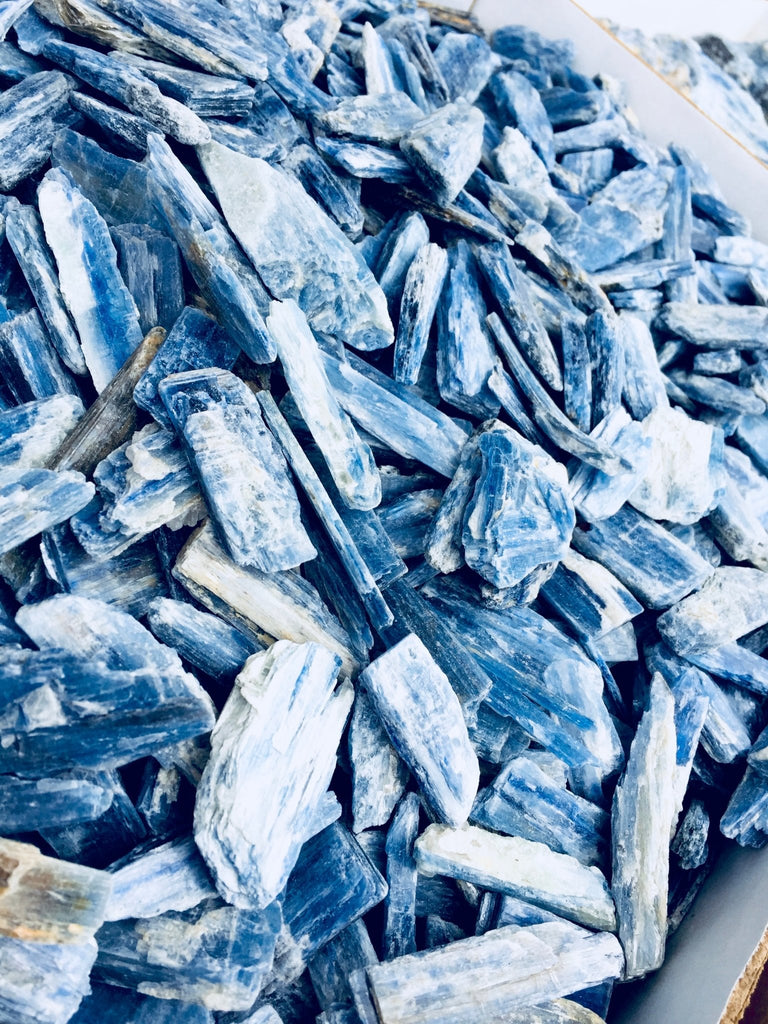 Kyanite - cameraSHY cove