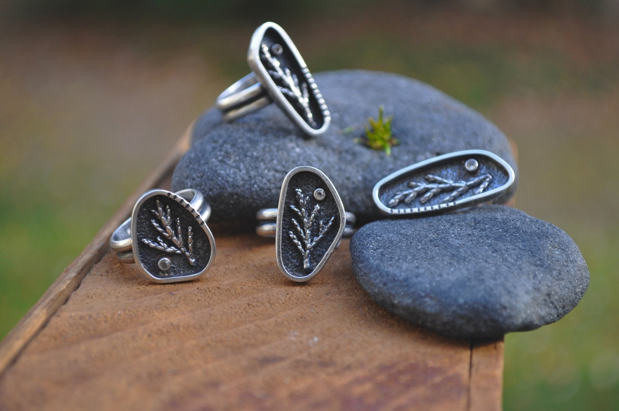 Ready to ship - Rings - cameraSHY cove