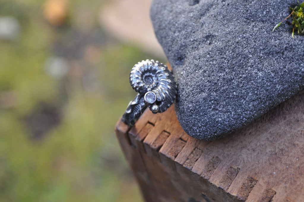 Ammonite Fossil Ring No. 2 | Ready to ship - cameraSHY cove