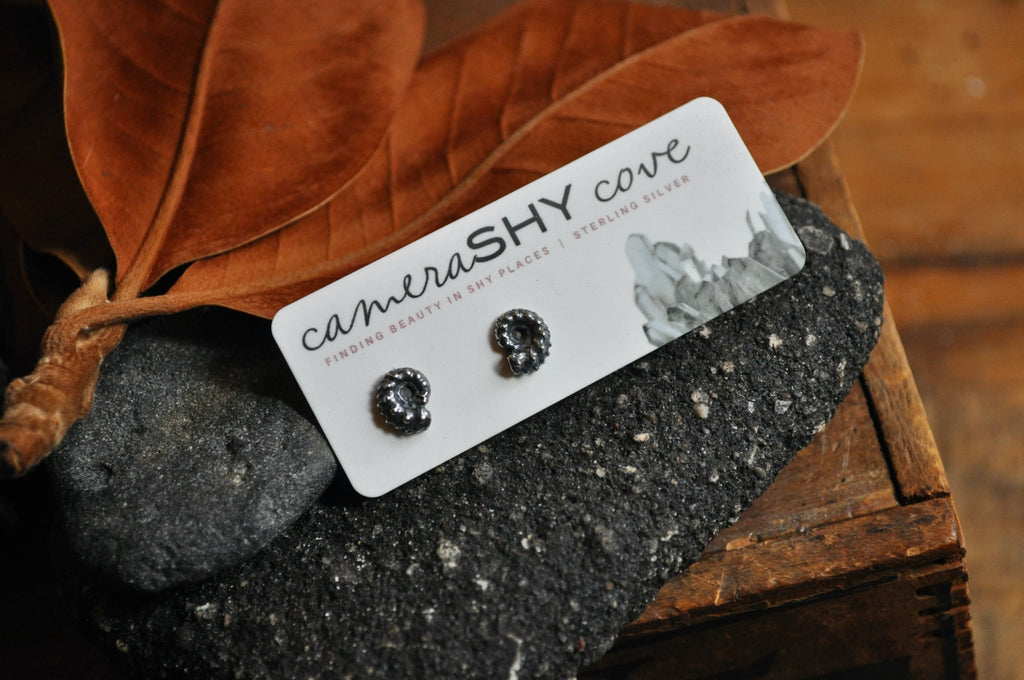 Ammonite studs | Ready to Ship - cameraSHY cove