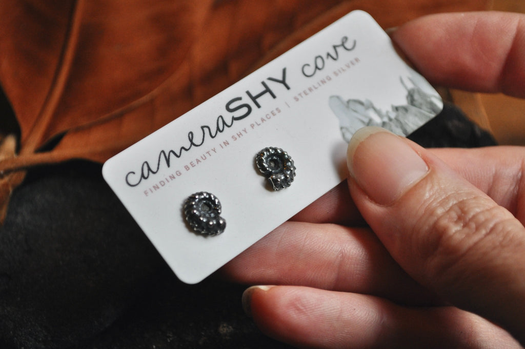 Ammonite studs | Ready to Ship - cameraSHY cove