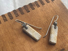 Fossil Coral | Hinge Earrings - cameraSHY cove